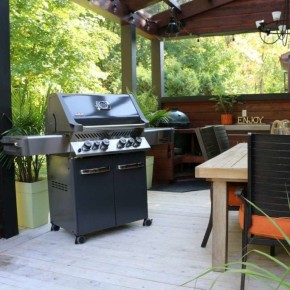 Ambiance 500 Gas Grill by Napoleon outdoor room – We Love Fire