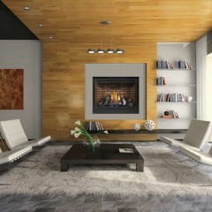 Napoleon High Definition 46 Gas Fireplace
