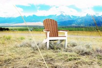 Comfo Back Adirondack Chair -Antique Mahogany on White