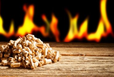Which Fireplace Fuel is Right for You?
