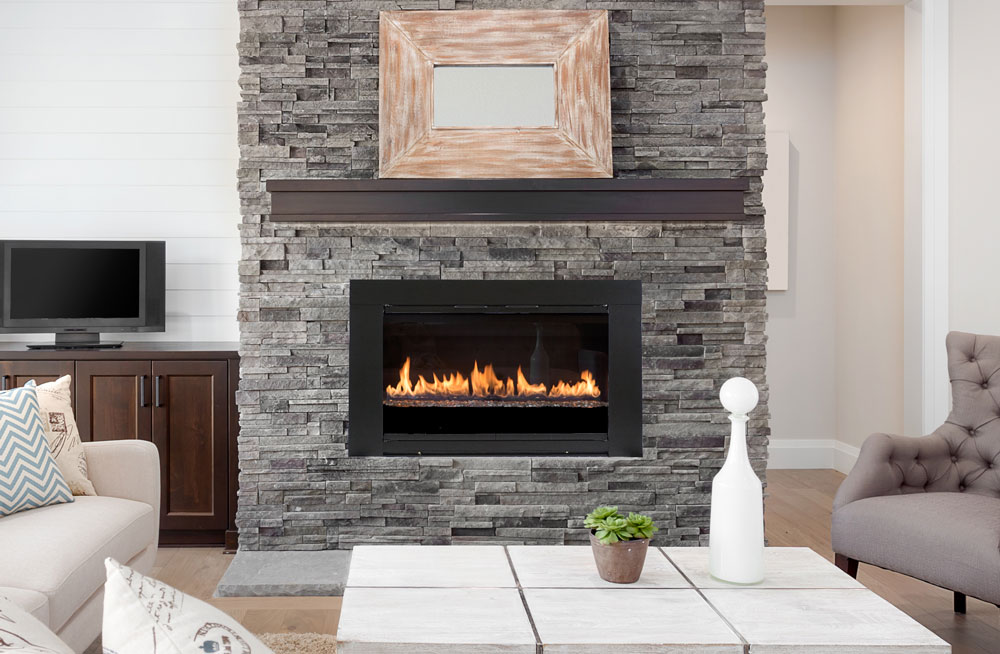 Design Specialties Fireplace Doors – Fireplace Guide by Linda