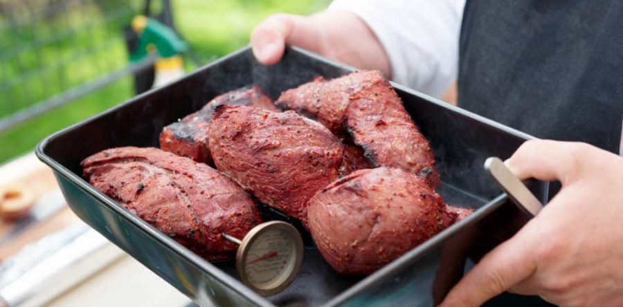 Tips for a Barbecue risk-free of intoxication