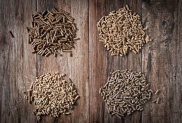 Six Facts About Pellets