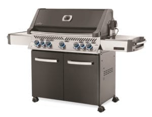 Ambiance 665 Gas Grill by Napoleon