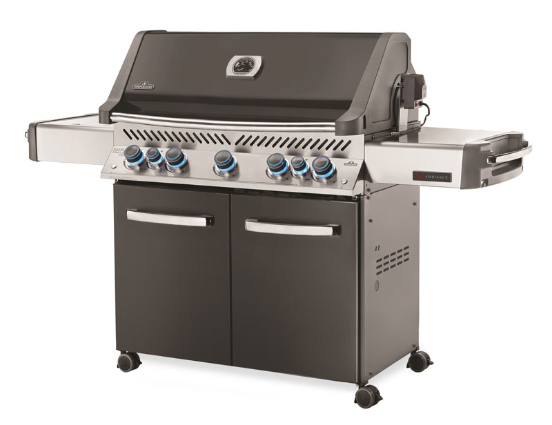 Ambiance 665 Gas Grill by Napoleon