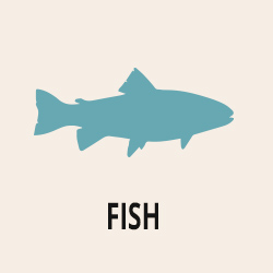Fish Section
