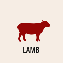 Lamb Section