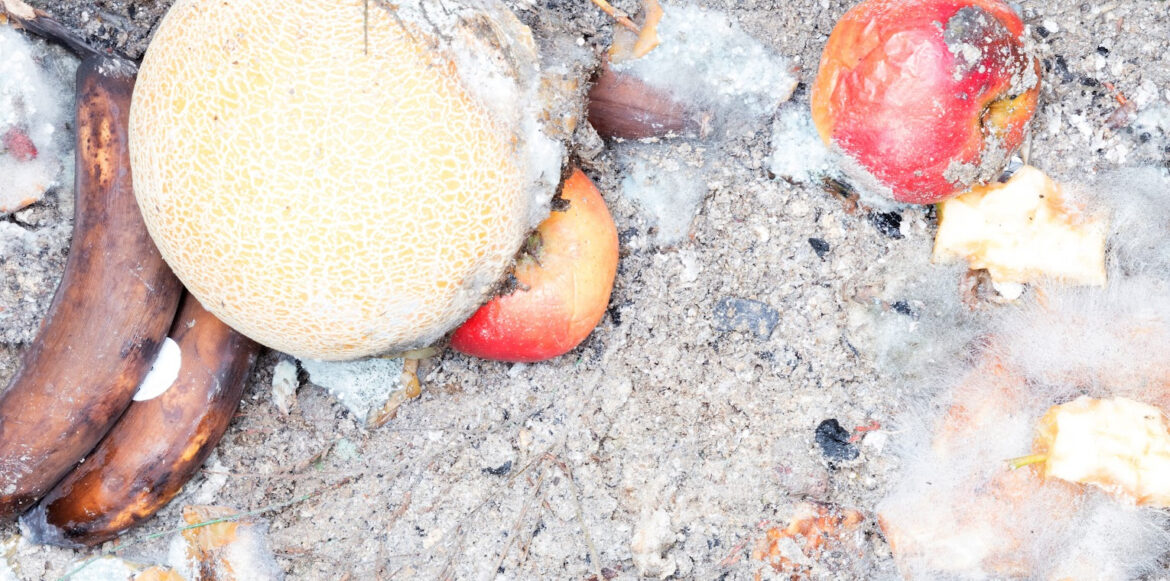 ONZE FAÇONS DE RÉUTILISER LES CENDRES DU FOYER- compost