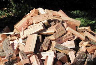 What’s The Best Type Of Wood To Burn?