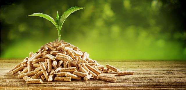 Why pellets is a great fuel, why heat with wood pellets. Wood pellets are eco friendly.