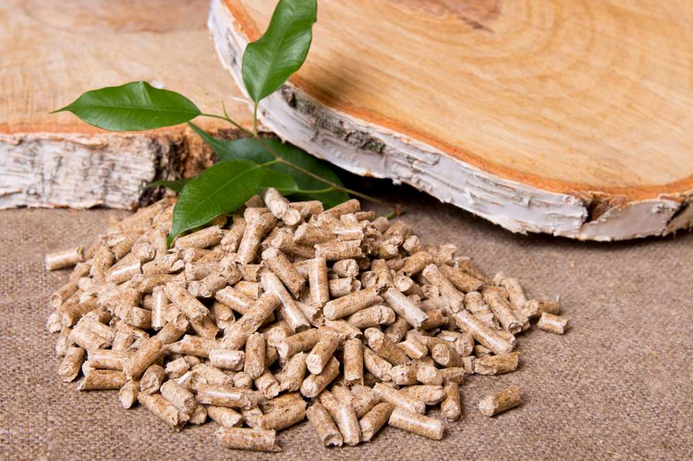 Pellets or wood for fuel? What fuel should I choose?