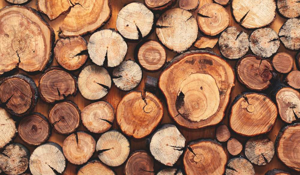 Wood logs for fuel? What fuel should I choose?