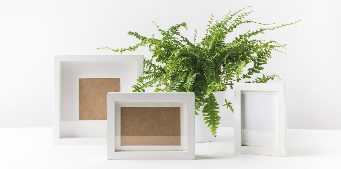 beautiful potted fern and empty photo frames on white - ideas for fireplace decoration