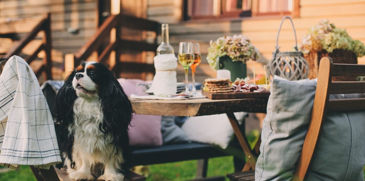 6 Tips on Creating a Hygge Outdoor Space for Homeowners