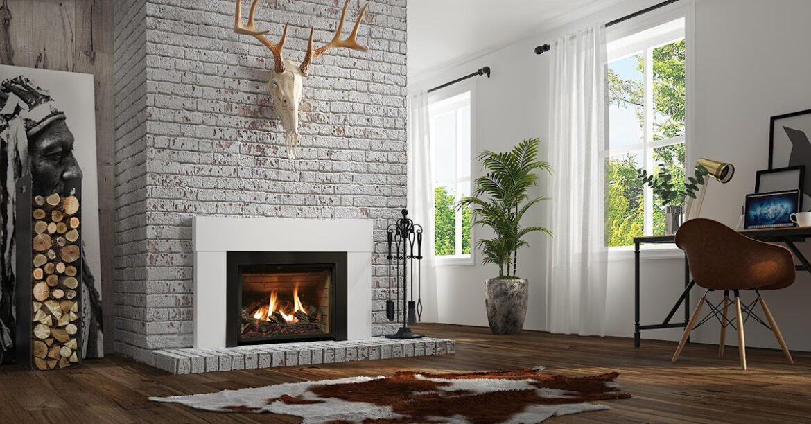 BURNING QUESTIONS__ Gas Fireplace _ Buying Advice - Difference between Fireplace_insert_logs - gas insert ambiance