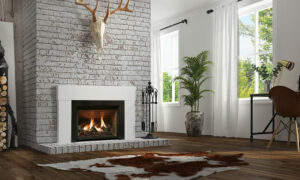 All About Gas Fireplace Inserts: Buying Advice